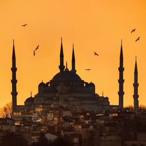 人人精品黄色在线观看
